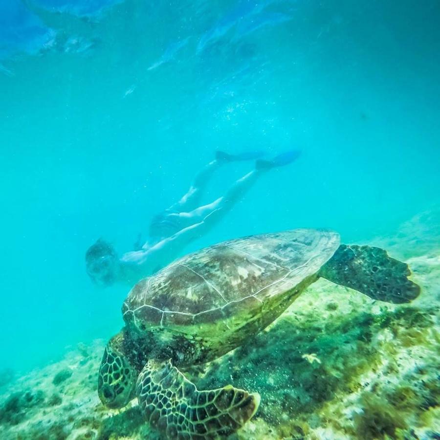 Tailua Beach Fales Manase Luaran gambar